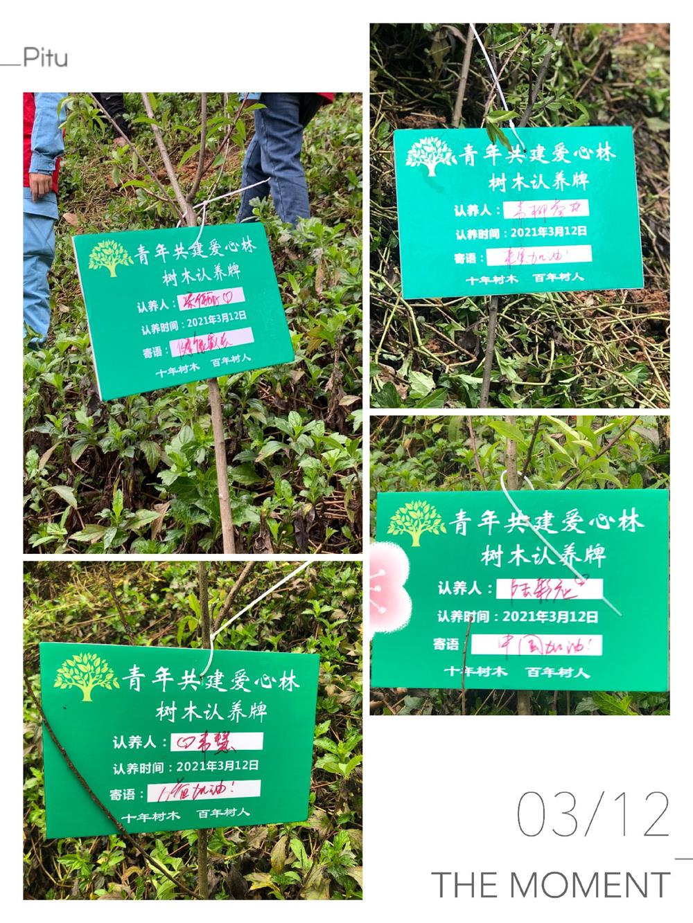 图片3